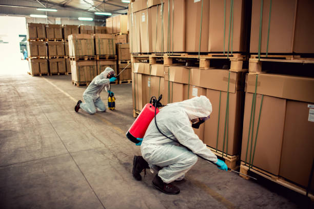 Best Mosquito Control Services  in Dobbs Ferry, NY