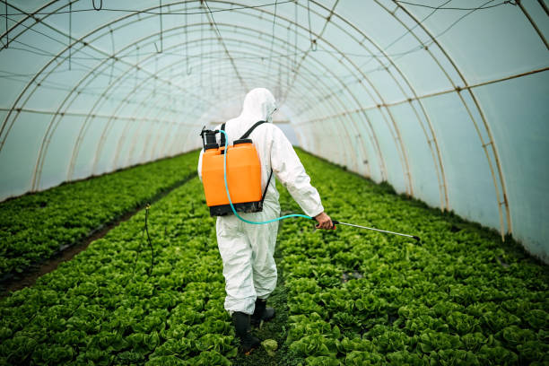 Best Local Pest Control Services  in Dobbs Ferry, NY