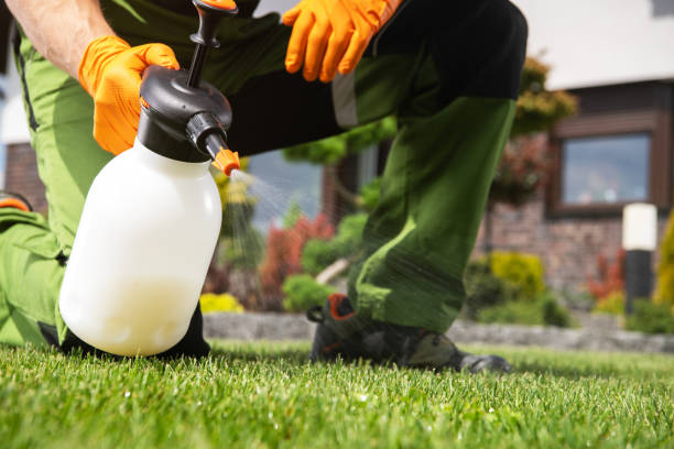 Best Pest Removal Services  in Dobbs Ferry, NY