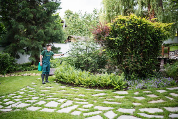 Best Emergency Pest Control  in Dobbs Ferry, NY
